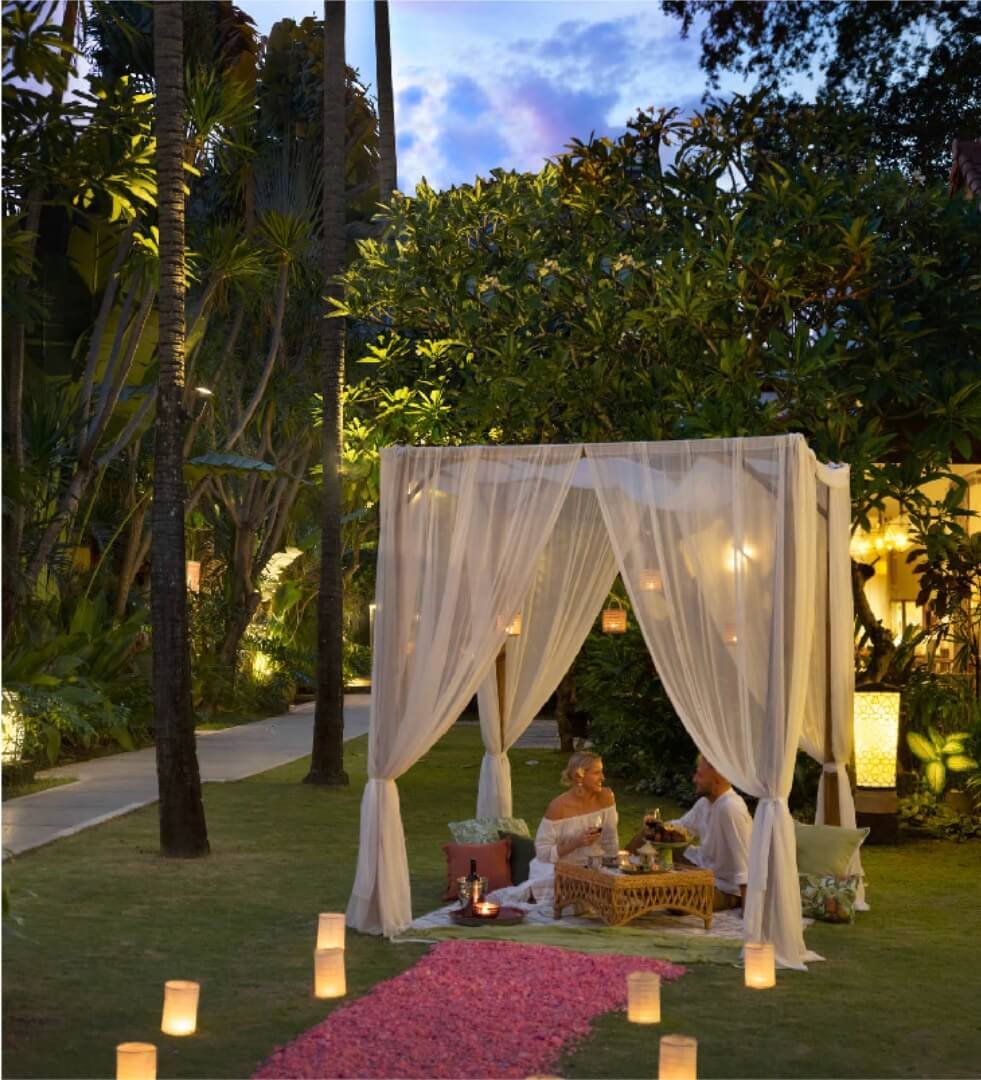 Romantic Dinner Under the Stars