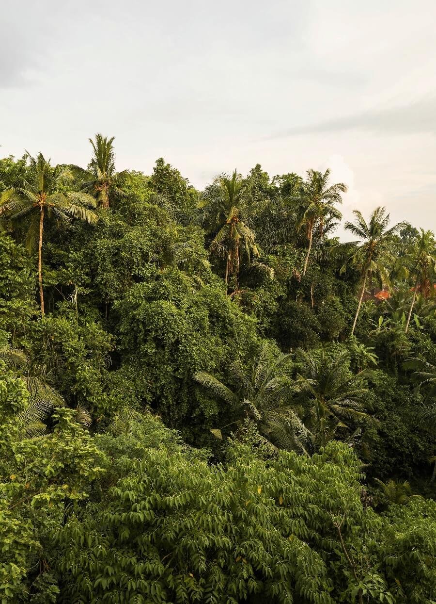 DAMARA VILLAGE UBUD BY ALAYA PRIVATE ESTATE