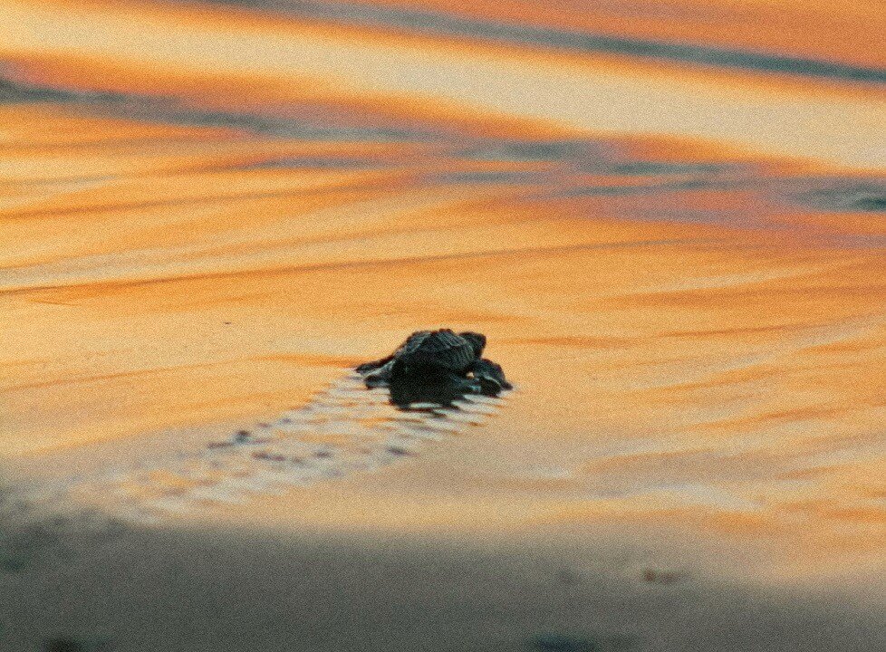 A World of Experiences